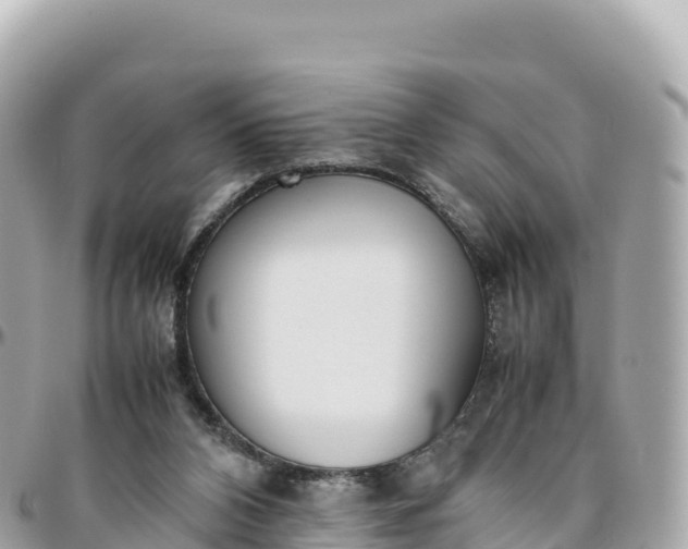 X0000095890112200801251211