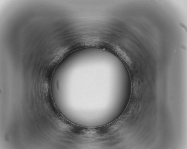 X0000095890113200801251211