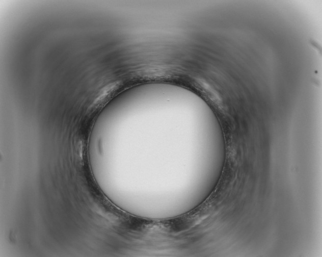 X0000095890115200801251211