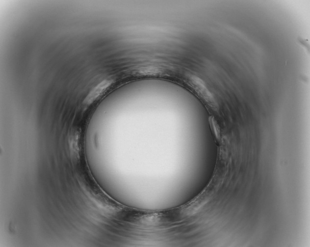 X0000095890116200801251211