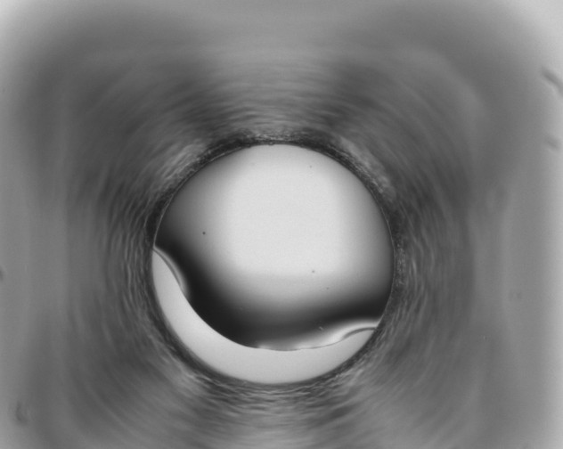 X0000095890117200801251211