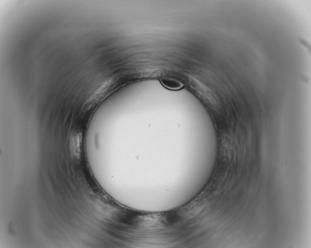 X0000095890118200801251211