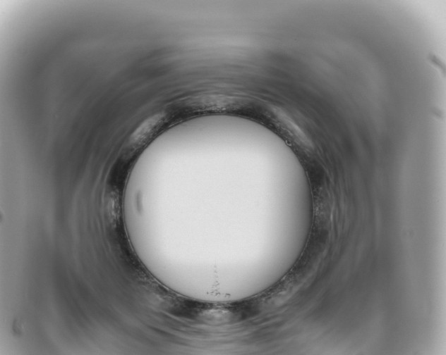 X0000095890119200801251211