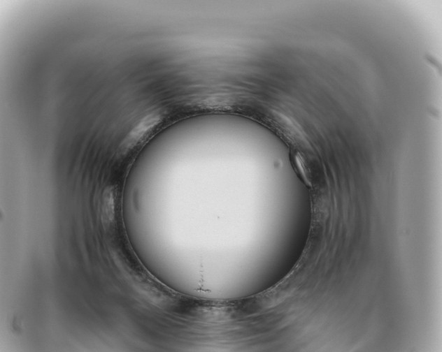 X0000095890120200801251211