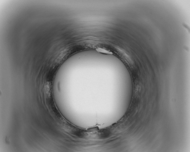 X0000095890121200801251211