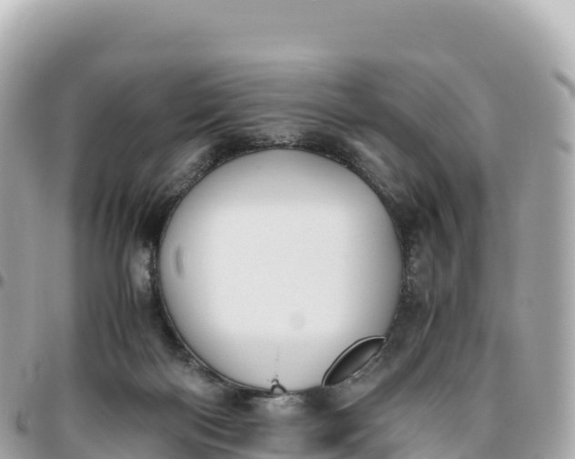 X0000095890122200801251211