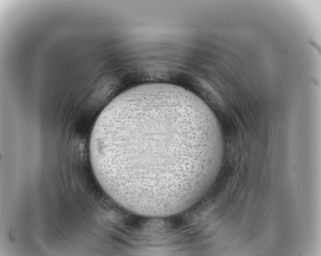 X0000095890123200801251211