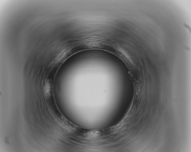 X0000095890124200801251211