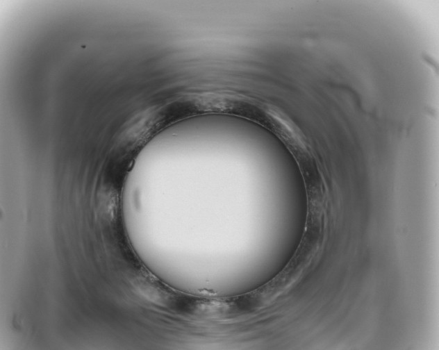 X0000095890125200801251211