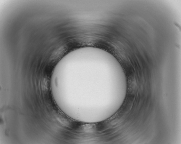 X0000095890126200801251211