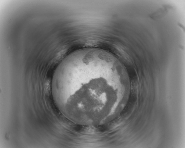 X0000095890127200801251211