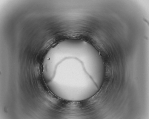 X0000095890128200801251211