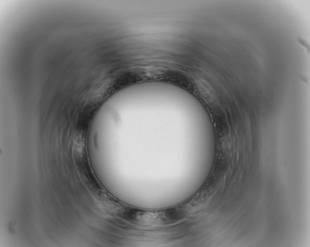 X0000095890129200801251211