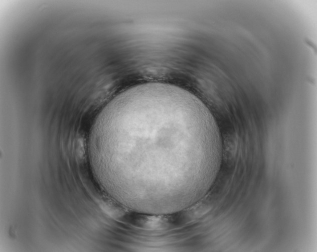 X0000095890130200801251211