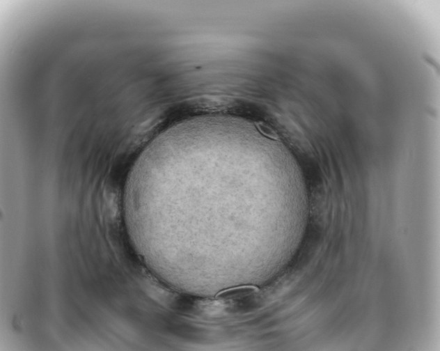 X0000095890131200801251211