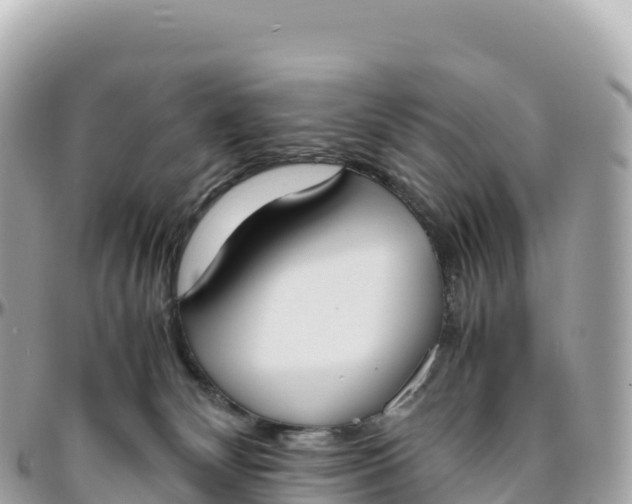 X0000095890132200801251211