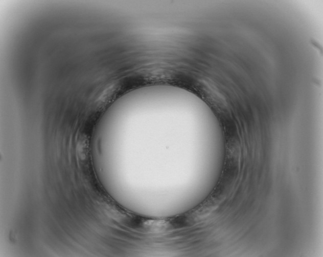 X0000095890133200801251211