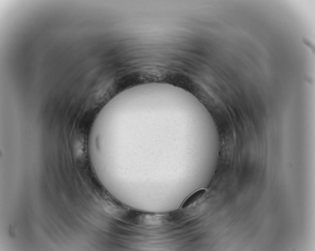 X0000095890134200801251211