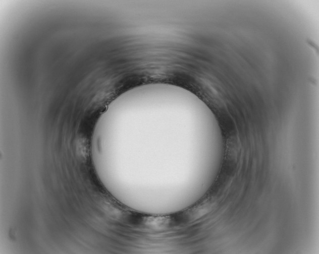 X0000095890135200801251211