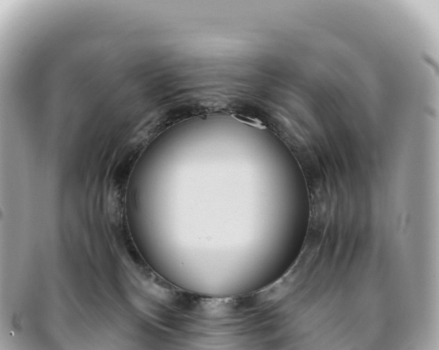 X0000095890136200801251211