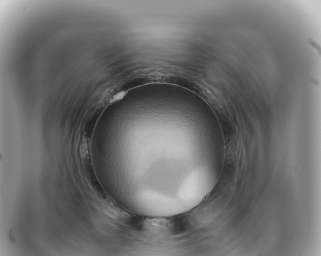 X0000095890137200801251211