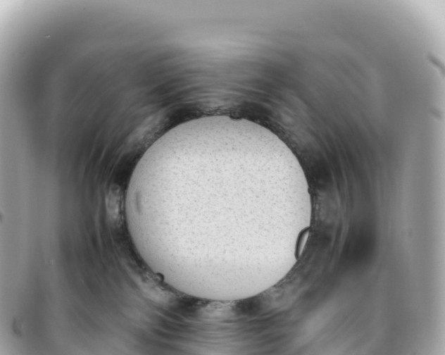 X0000095890138200801251211