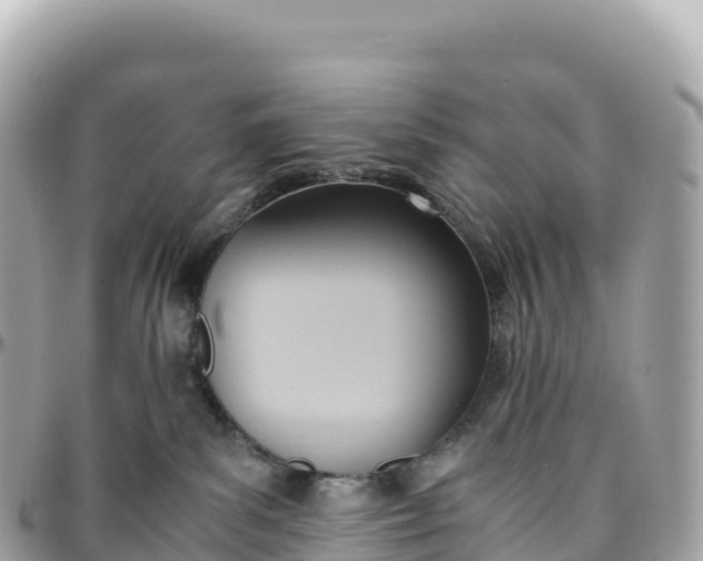 X0000095890139200801251211