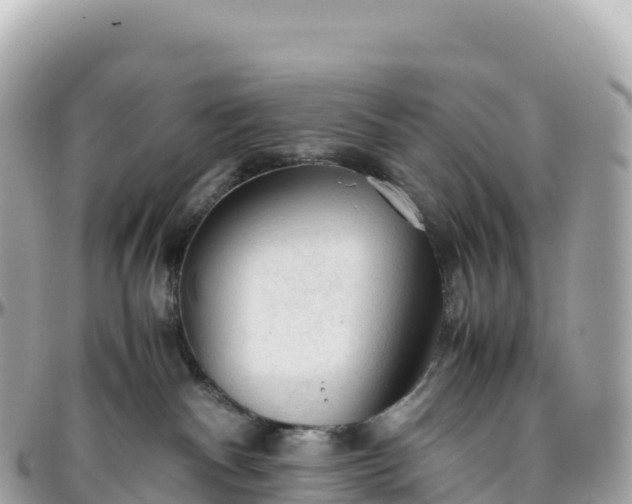 X0000095890140200801251211