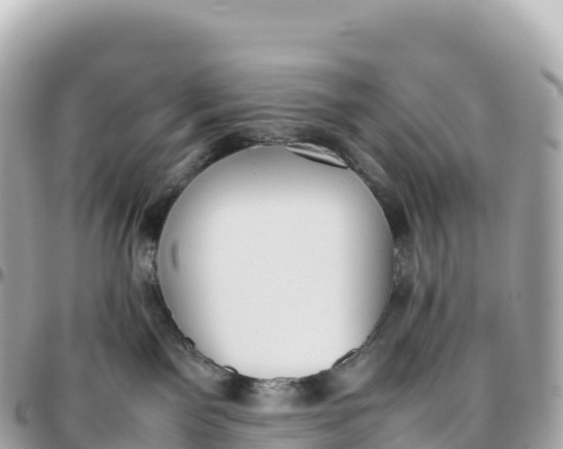 X0000095890141200801251211