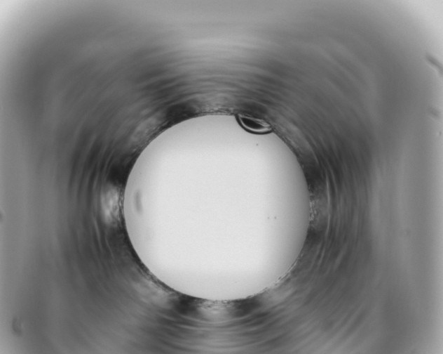 X0000095890142200801251211