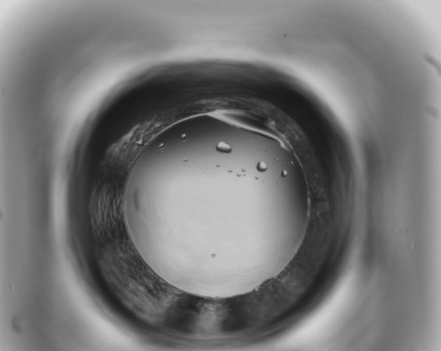 X0000095890143200801251211