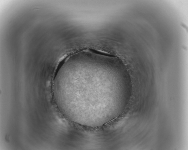 X0000095890144200801251211