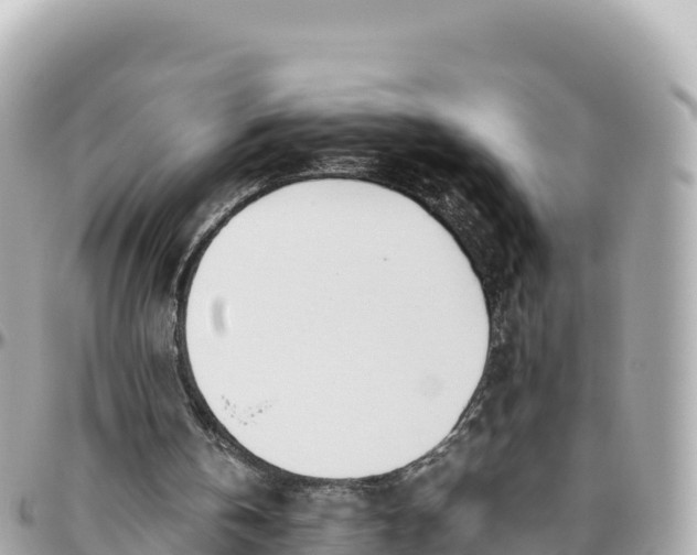 X0000095890146200801251210