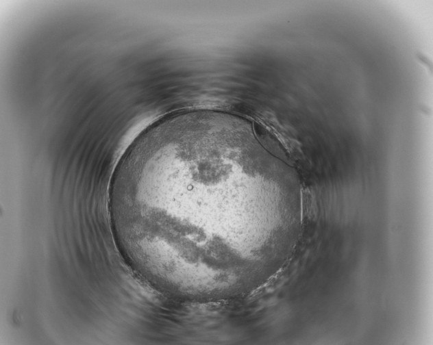 X0000095890147200801251210