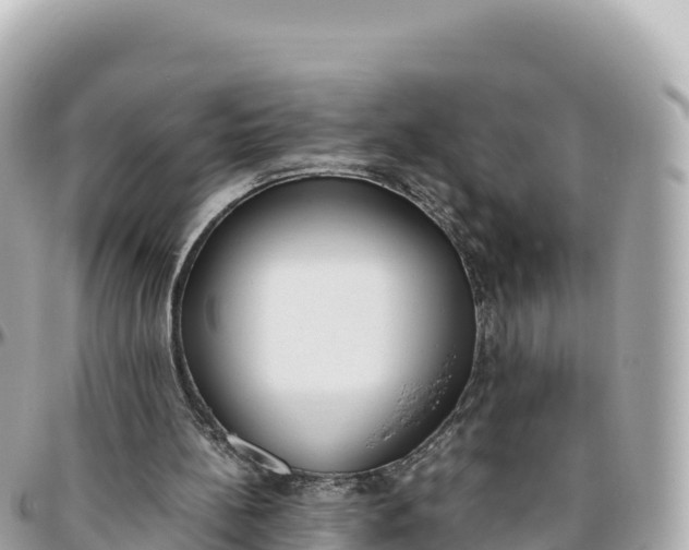 X0000095890148200801251210