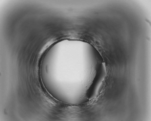 X0000095890150200801251210