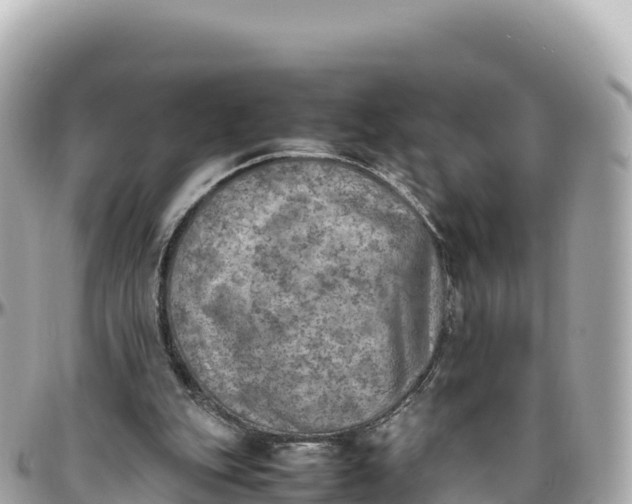 X0000095890151200801251210