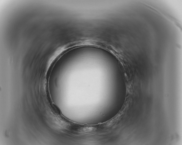 X0000095890152200801251210