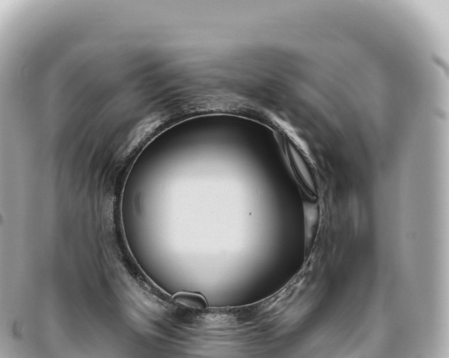 X0000095890154200801251210