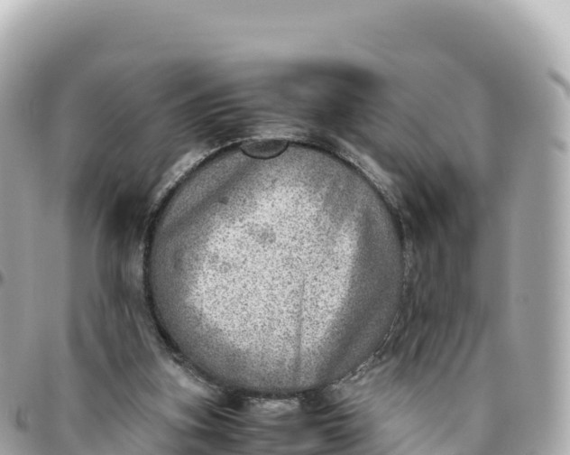 X0000095890155200801251210