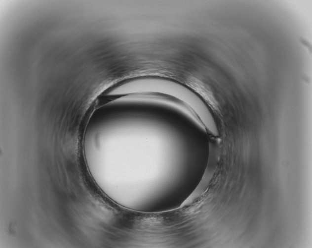 X0000095890156200801251210