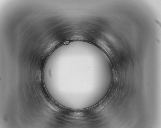 X0000095890157200801251210