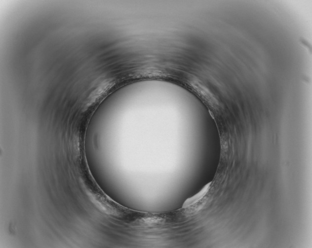 X0000095890158200801251210