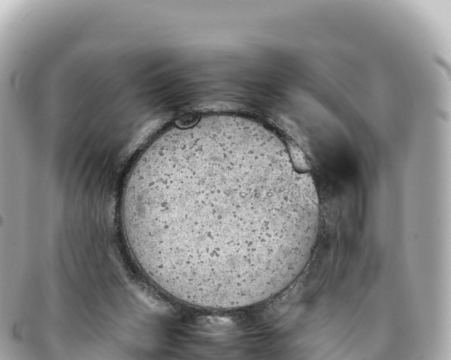 X0000095890159200801251210