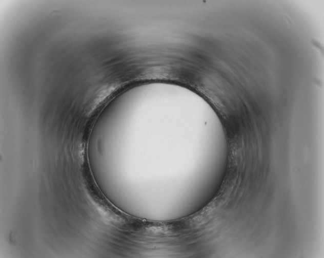 X0000095890160200801251210