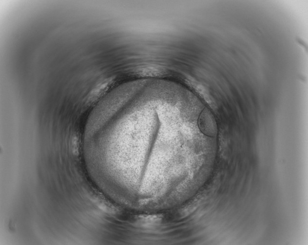 X0000095890161200801251210