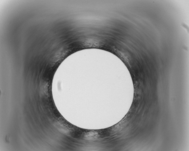 X0000095890162200801251210