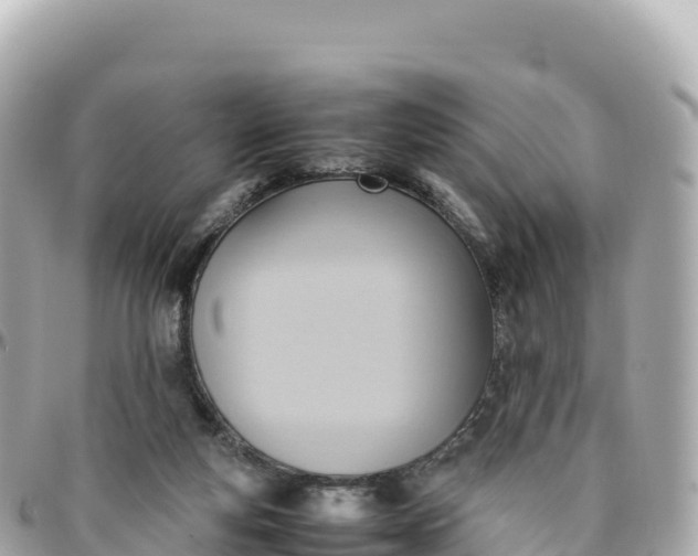 X0000095890163200801251210