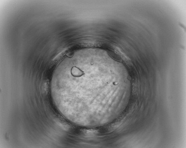 X0000095890165200801251210