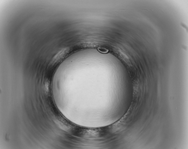 X0000095890166200801251210